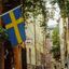 Швеция конфешен 🇸🇪 Avatar