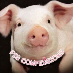 PIG CONFESSIONS! 🐖 avatar