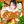 ㅤ𝗰ı𝘁𝗿𝘂𝘀 gɑrdᧉn 🍊 avatar