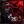 FPE:S Roblox | Confession avatar