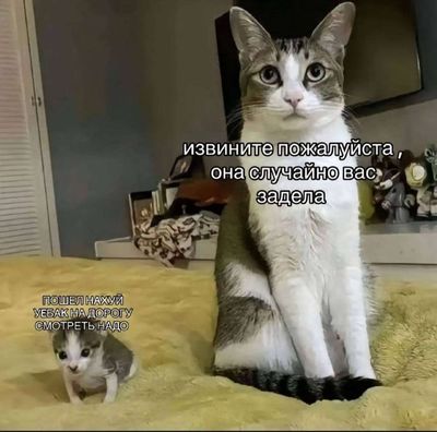 Post media