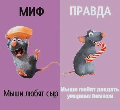 Post media