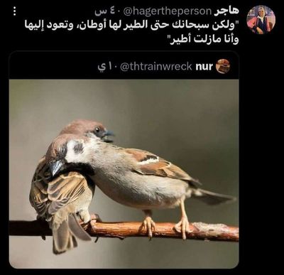 Post media