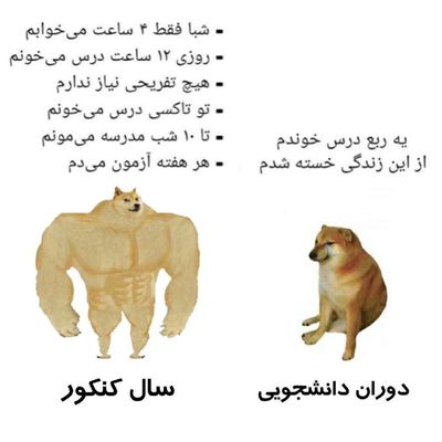 Post media