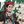 commoseo avatar