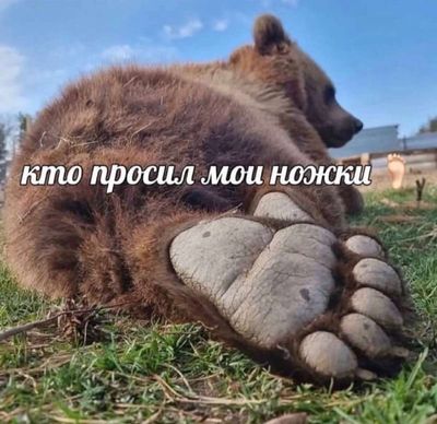 Post media