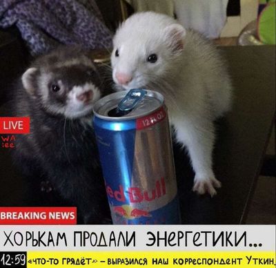 Post media