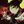 HIVESWAP CONFESSION avatar