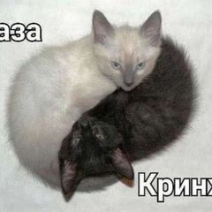 Кринж и База (К&Б) avatar