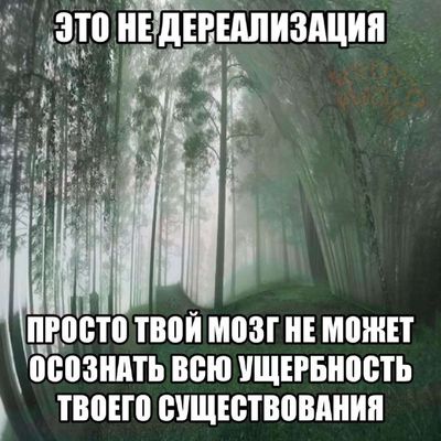 Post media