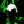 ᴄғxᴅᴀɪʟʏ1x4 avatar