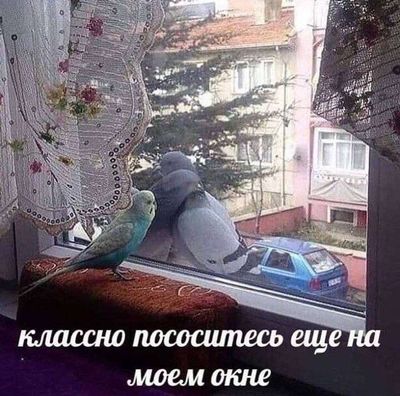 Post media