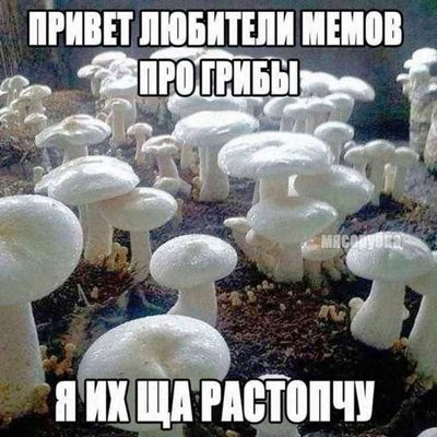 Post media