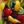 🍎 fruits confession !! 🍐 avatar