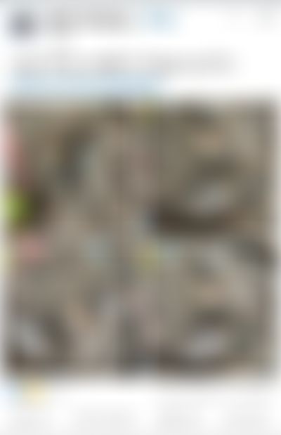 Post media background