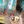 DSMP LPS confession avatar