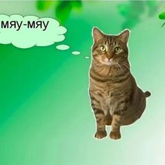 ФУРНИТУРА🫧 БЕЗ ВЫХОДНЫХ⁴² avatar