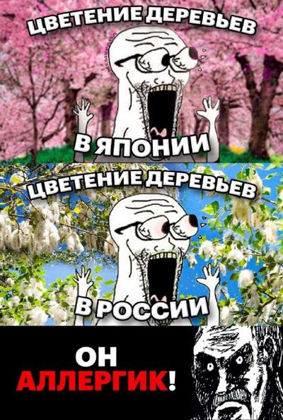 Post media