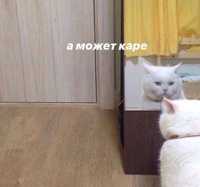 Post media