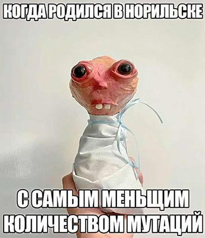 Post media