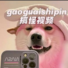 搞怪视频|内涵段子|吃瓜中心 avatar