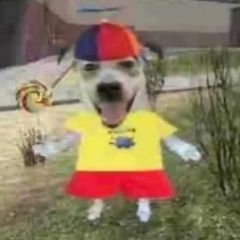 Соньчоус :D avatar