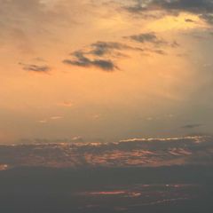 公群998 蒋家团队假钞面交/埋包/闪送 上押5000U avatar