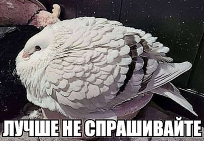 Post media