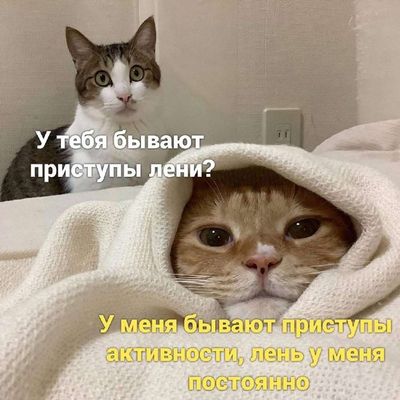 Post media