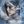 𝐃𝐄𝐕𝐎𝐓𝐈𝐎𝐍 переезд avatar
