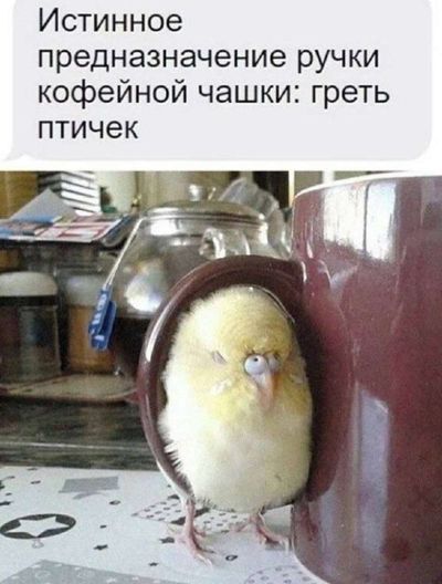 Post media