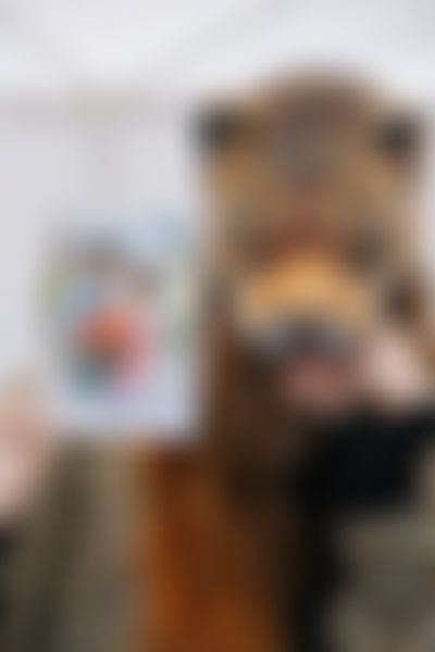 Post media background