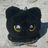 jjong cat !