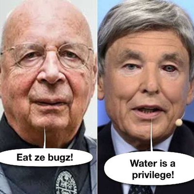 Post media