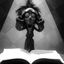 Meine Bücher Avatar