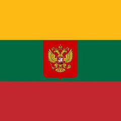 Литва головного мозга avatar