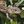 The world of reptiles_сеть телеграмм каналов :) avatar