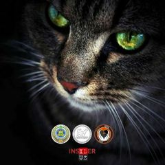 Мушуккент / Mushukkent avatar
