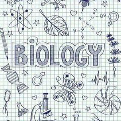 BIOLOGIYA_Natijalarga asoslangan kanal avatar
