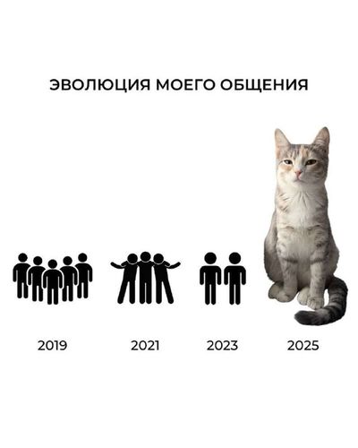Post media