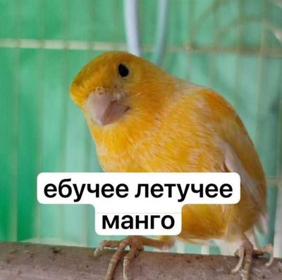 Post media