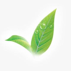 L97F avatar