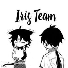 Iris Team | Переводы avatar