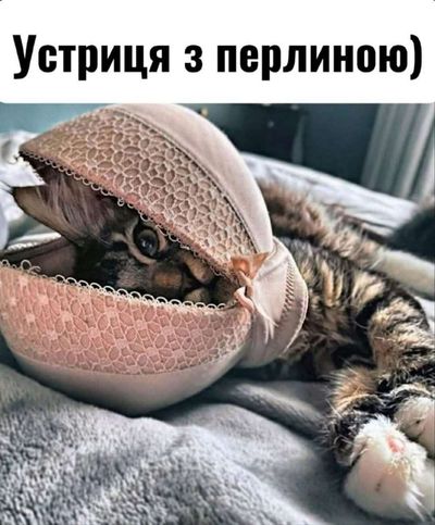 Post media