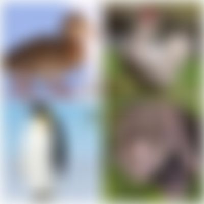 Post media background