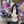 Ningning Jeo avatar