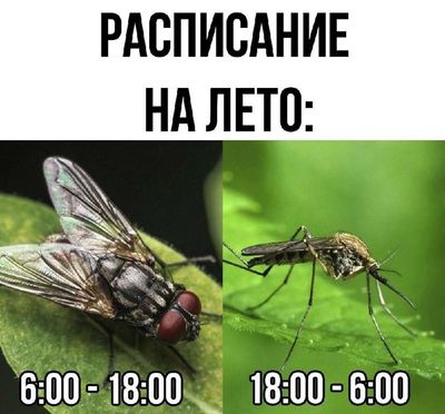Post media