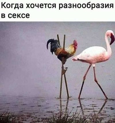 Post media