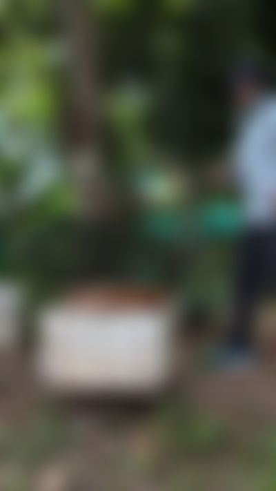 Post media background