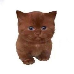 Маринач | 0 ддд avatar